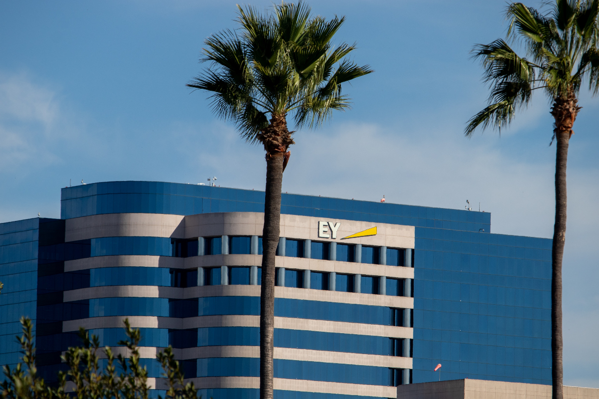 A building with the Ernst & Young logo sits behind tall palm trees.